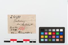 Etiketten zu Bronzering (NHMW-PRAE-024150)
